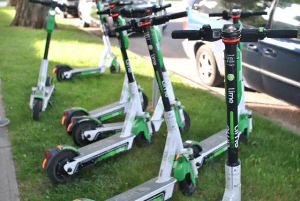 rental Lime electric scooters sitting on a grass pavement