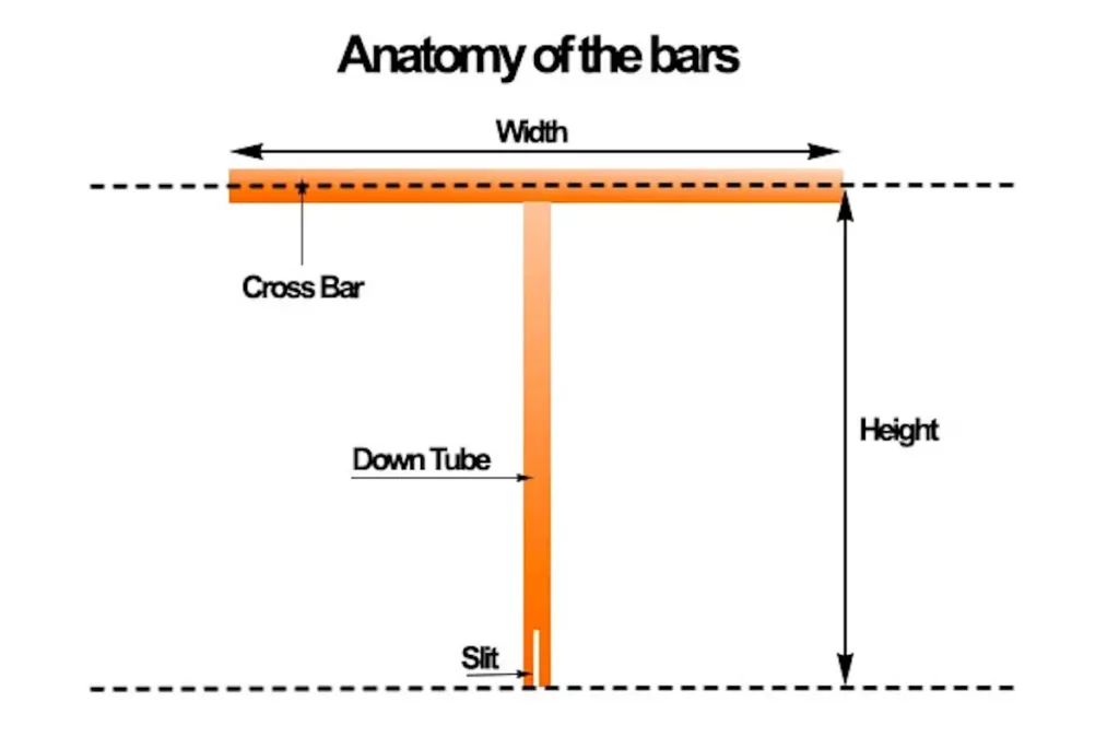 anatomy of the bars