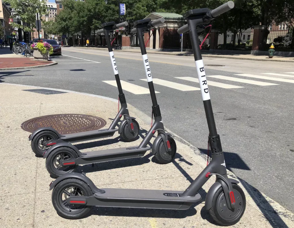 bird scooters for rent