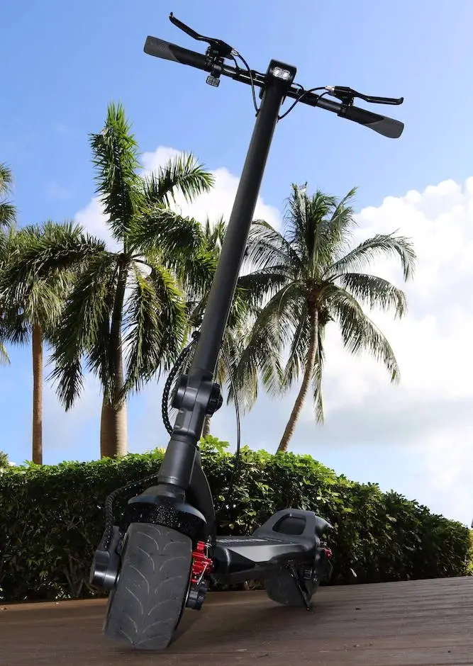 a Mercane WideWheel Pro leaning with palms in the background